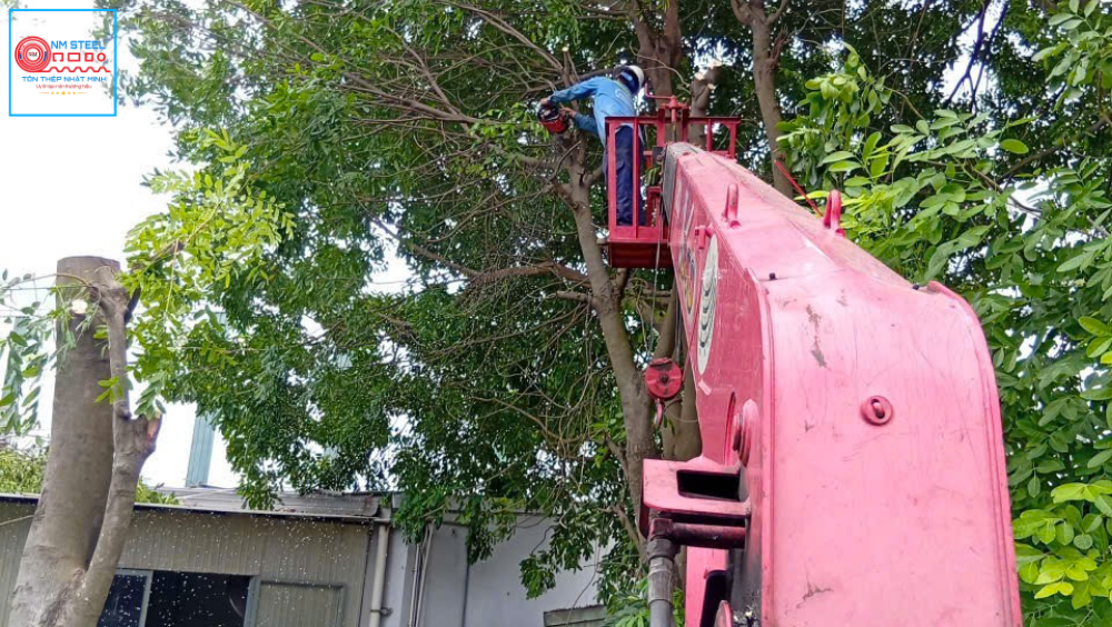 dịch vụ xe rổ cắt tỉa cây xanh Bình Dương