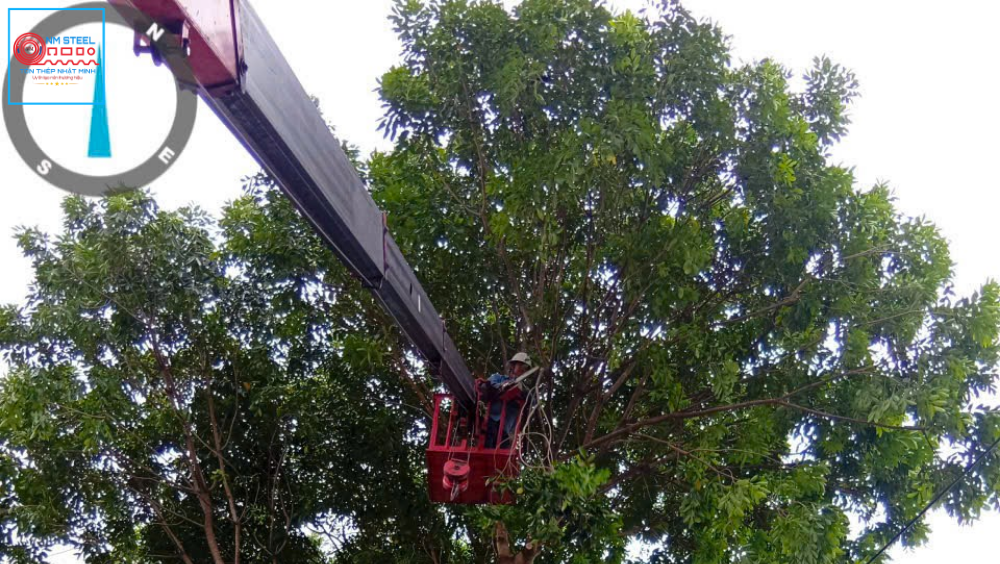 [Cập Nhật] Báo Giá Thuê Xe Nâng Người Cắt Tỉa Cây Uy Tín