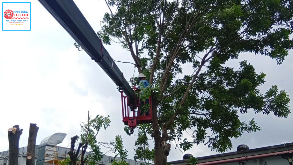 [Cập Nhật] Báo Giá Thuê Xe Nâng Người Cắt Tỉa Cây Uy Tín