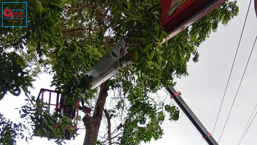 [Cập Nhật] Báo Giá Thuê Xe Nâng Người Cắt Tỉa Cây Uy Tín