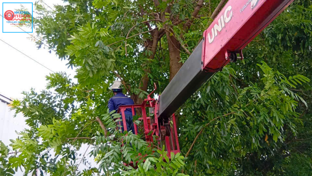 [Cập Nhật] Báo Giá Thuê Xe Nâng Người Cắt Tỉa Cây Uy Tín
