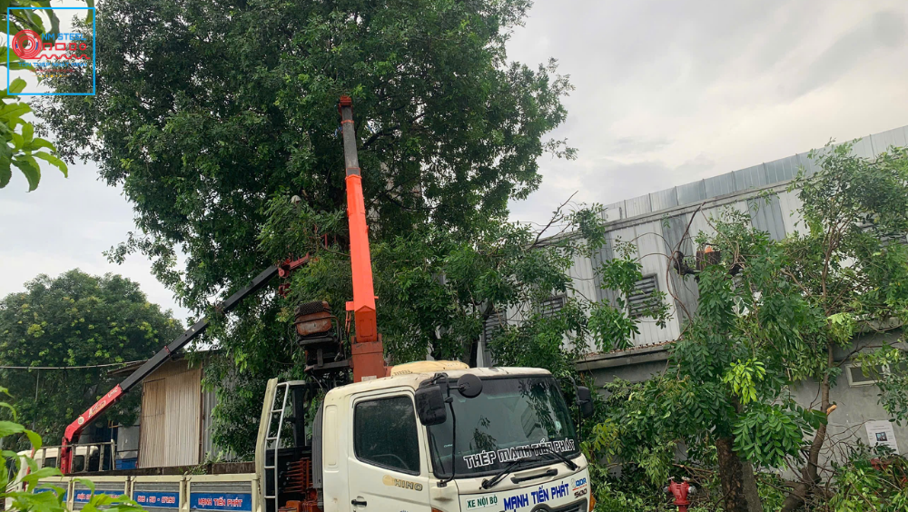 Báo Giá Thuê Xe Rổ Cắt Cây Xanh Mới Nhất | Địa Chỉ Thuê Uy Tín