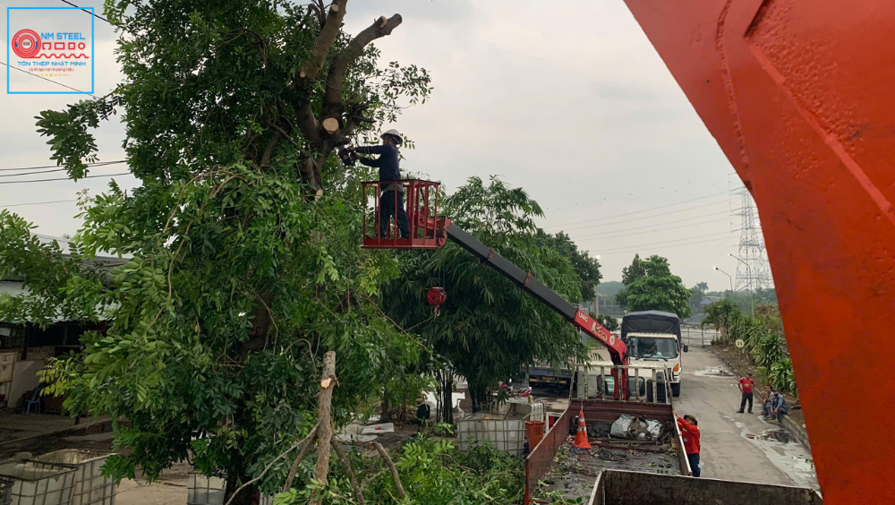 Báo Giá Thuê Xe Rổ Cắt Cây Xanh Mới Nhất | Địa Chỉ Thuê Uy Tín