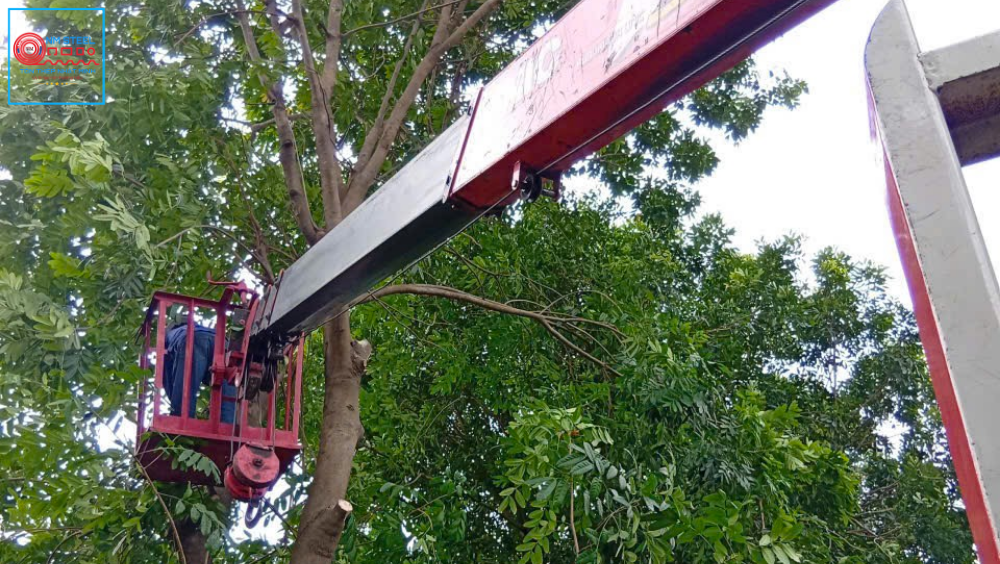 Thuê Xe Rổ Tự Hành Giá Bao Nhiêu? Xem Bảng Giá Ngay