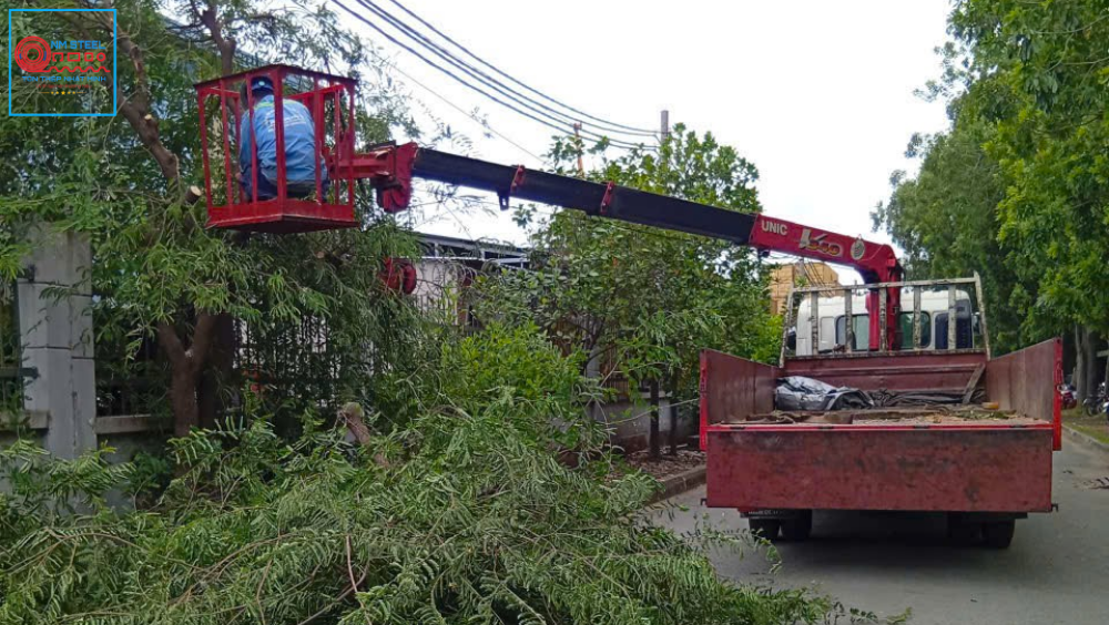 Nhận Cho Thuê Xe Rổ Cắt Cây Tại TPHCM 3 thuê xe rổ cắt cây tại TPHCM