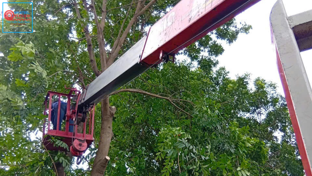 Thuê Xe Nâng Người Cắt Tỉa Cây Tại Cần Thơ Uy Tín 3 Thuê Xe Nâng Người Cắt Tỉa Cây Tại Cần Thơ Uy Tín